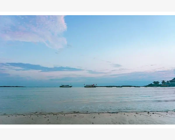 产后脱发的秘密：如何有效调理，重拾美丽