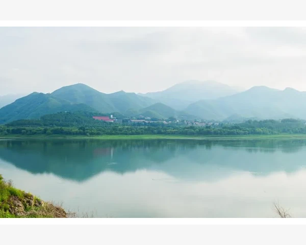牛黄清肺颗粒：保护肺脏健康，提升抵抗力